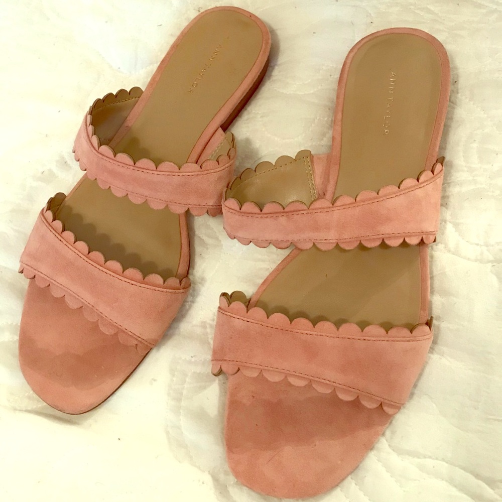 EUC Ann Taylor “Jean” scalloped flat sandal